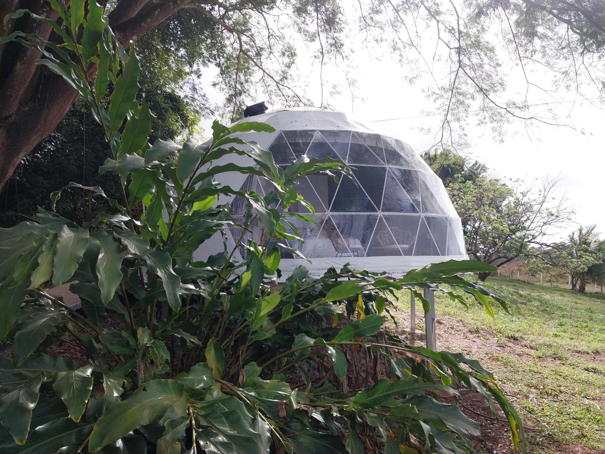 Tanques Vida Aventura Ranch酒店 外观 照片